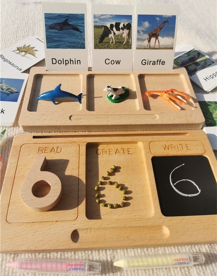 Tebeşir bölünmüş tepsiler ile  - Montessori Shelf Toy incelemesi ve fiyatı